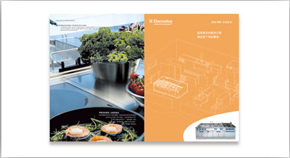 商用家電，電子公司，商用電器公司，消費電子公司，畫冊設計，宣傳物設計，單頁設計，DM設計，產品手冊設計，標志設計，VI設計，logo設計，VIS設計，吉祥物設計，商標設計，logo design,VIS design, trade mark design,shanghai design company,上海設計公司，上海標志設計公司，上海VI設計公司，上海廣告設計公司